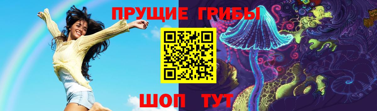 Шали  Галлюциногенные грибы GOLDEN TEACHER  Вход с VPN  Галлюциногенные грибы MAGIC MUSHROOMS 