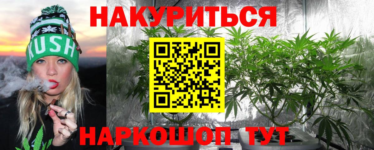 Шали  Конопля Bruce Banner  Вход с VPN  Канабис Amnesia  Бошки Шишки VHQ  Марихуана план 